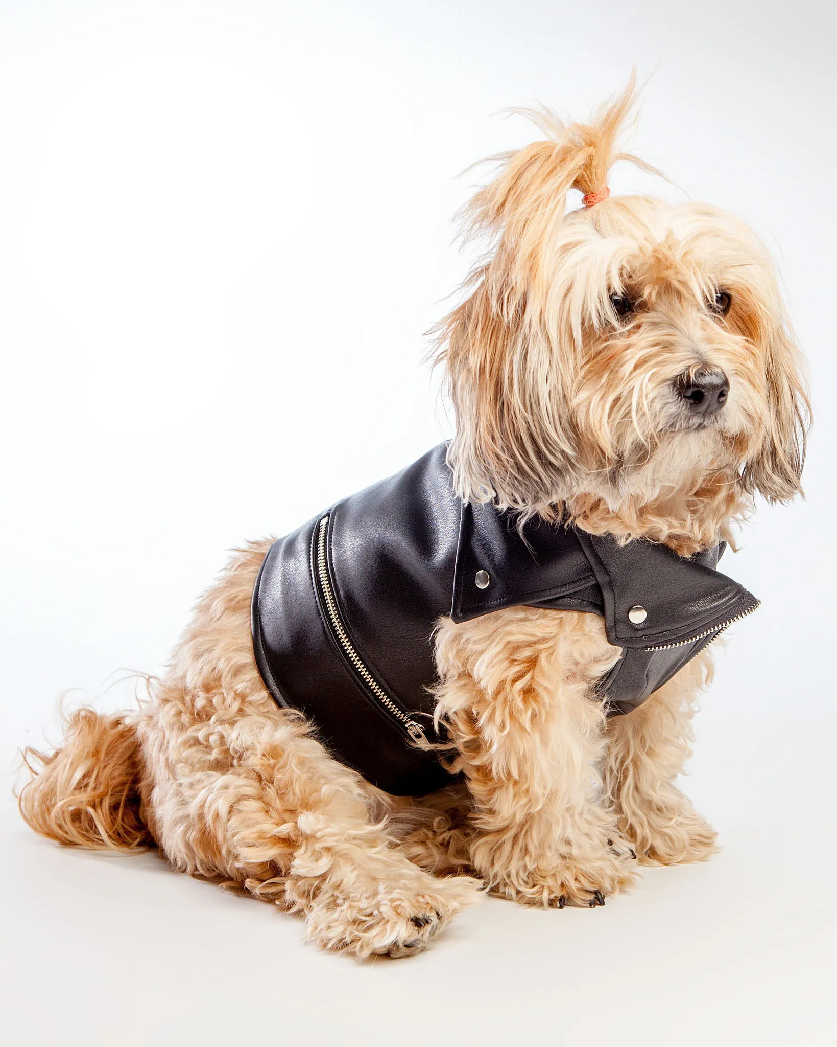 Vegan Leather Moto Vest for Dogs